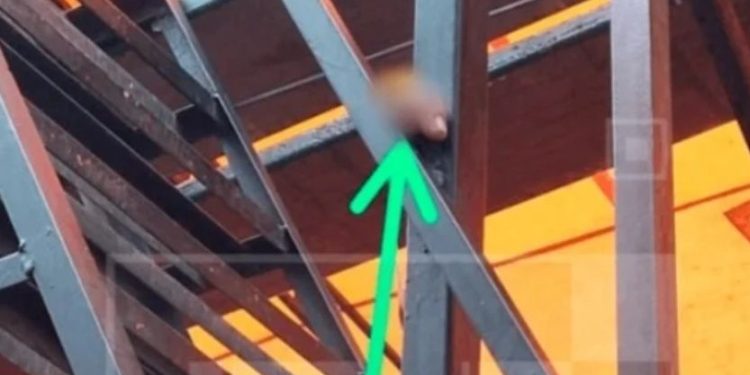 Fiscal califica de hecho fortuito el dedo cercenado encontrado en graderia