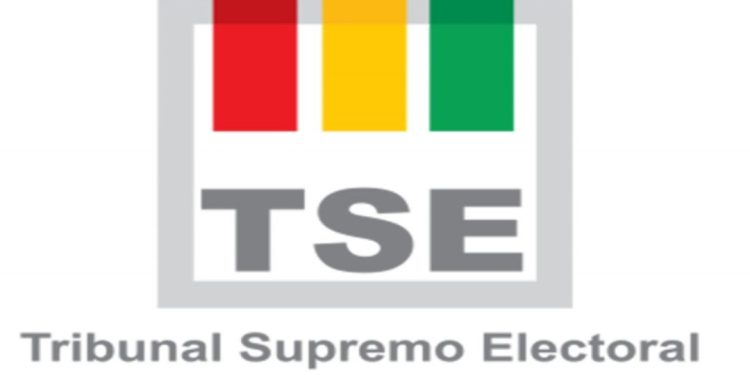 TSE publica lista oficial de candidatos habilitados para elecciones subnacionales de marzo