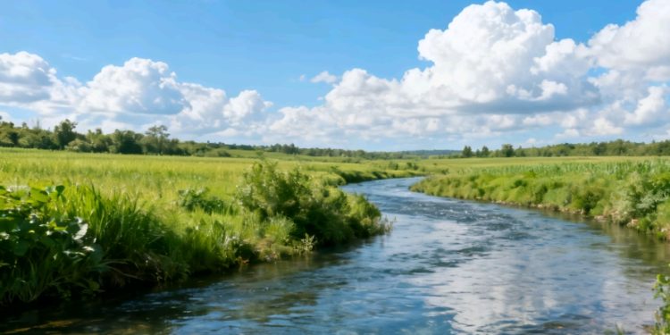 Lluvias dejan incomunicado a San Antonio de Lomerío tras desborde en la vía principal