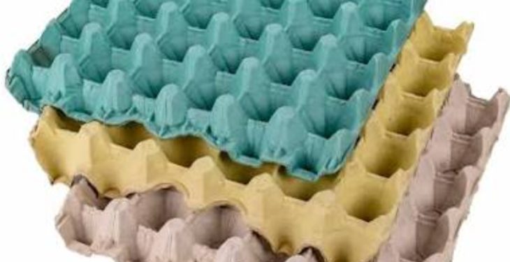 Interceptan camioneta con cocaína camuflada en maples de huevo