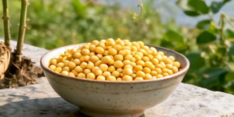 Productores levantan bloqueo en Yapacaní tras acuerdo con el Gobierno