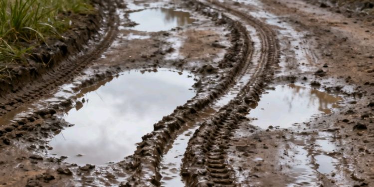 Derrumbes por lluvias afectan la ruta entre Charazani y Apolo