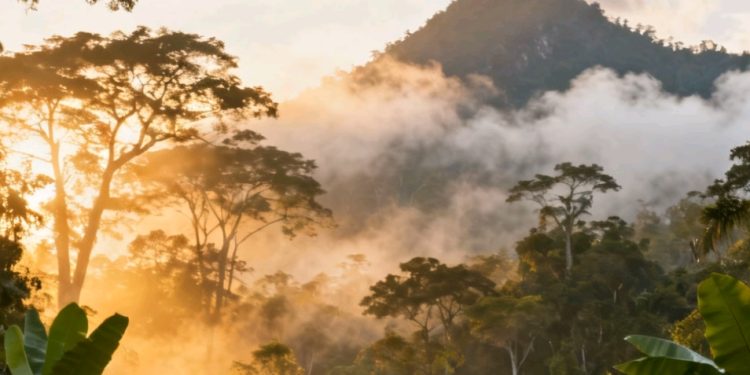 Gobierno admite que Bolivia es atractiva para narcotráfico y produce cocaína