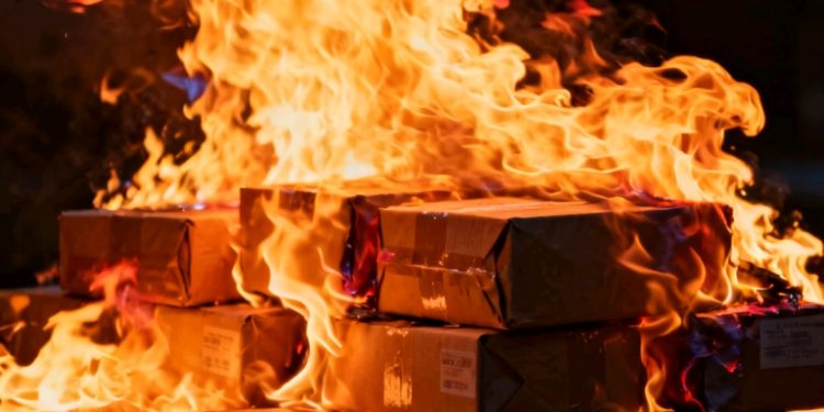 FELCN destruye 36 viveros de marihuana y más de 12 toneladas de droga en Potosí