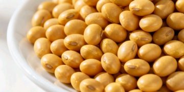Gobierno elimina arancel cero a la importación de soya tras presión del sector productivo