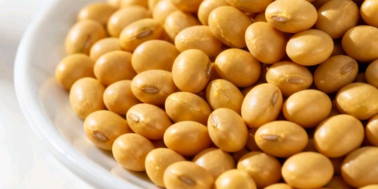 Gobierno elimina arancel cero a la importación de soya tras presión del sector productivo