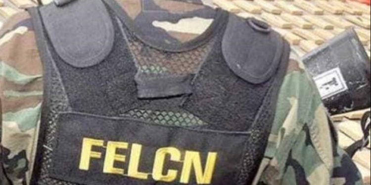 Remueven a más de 30 policías antidroga tras evaluaciones internas