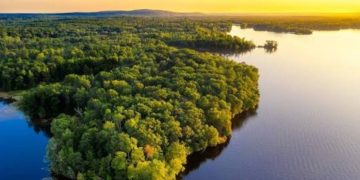 La Amazonía, el pulmón verde que regula el clima del planeta