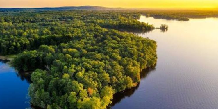 La Amazonía, el pulmón verde que regula el clima del planeta
