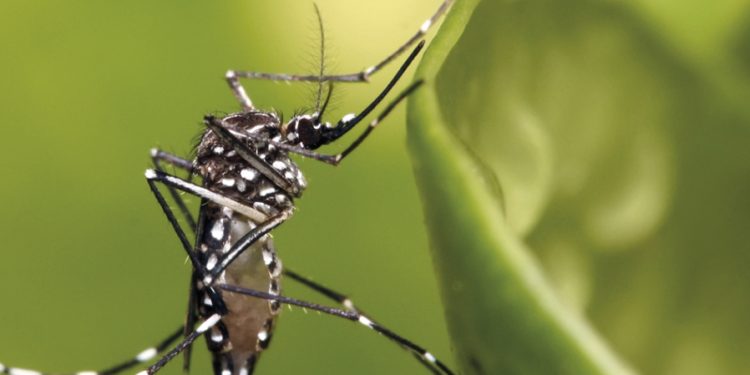 Yacuiba entra en alerta por brote de enfermedades respiratorias y virales