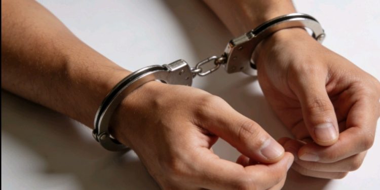 Dos personas son aprehendidas con cargamento de marihuana en Yucumo