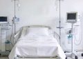 Alerta por fiebre amarilla: síntomas, contagio y prevención