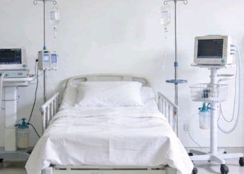 Alerta por fiebre amarilla: síntomas, contagio y prevención