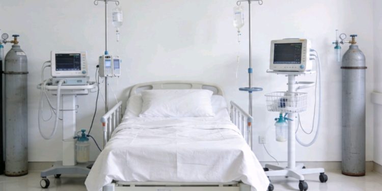 Alerta por fiebre amarilla: síntomas, contagio y prevención