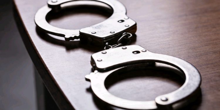 Felcn intercepta avioneta con droga en Chimoré