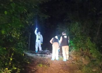 Mujer decapitada en La Angostura: era cantante, se busca a la familia